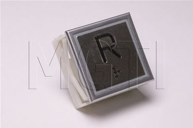 BOUTON POUSSOIR SMC-BST 'R' + braille lumineux Bleu