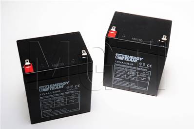 BATTERIES 12 V 4Ah (kit de 2) POUR PRG852